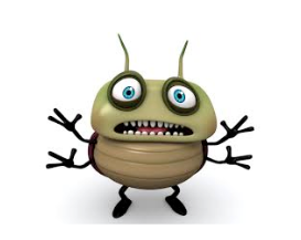 illustration of a bug